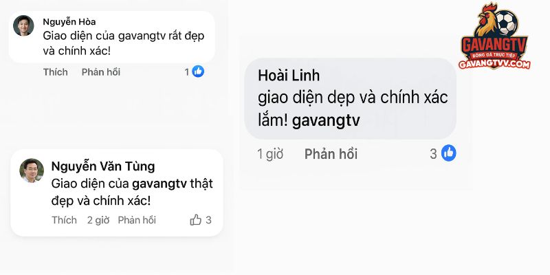 Cộng đồng ca ngợi giao diện và độ chính xác của GavangTV