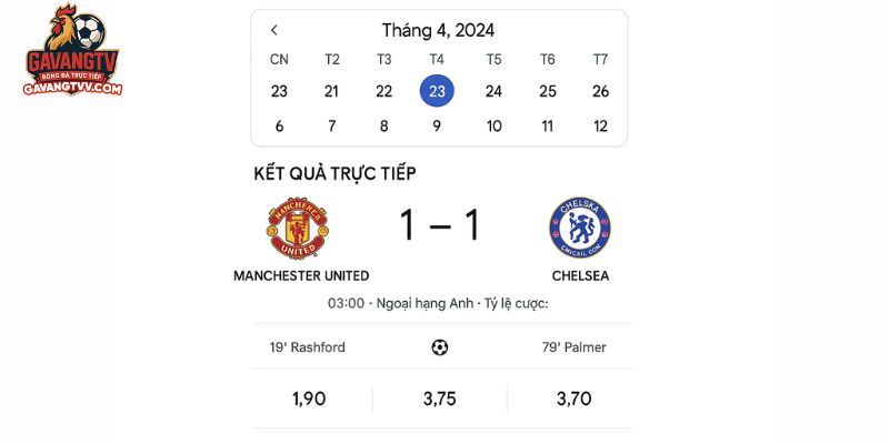 Gavang TV là hệ sinh thái dữ liệu bóng đá toàn diện