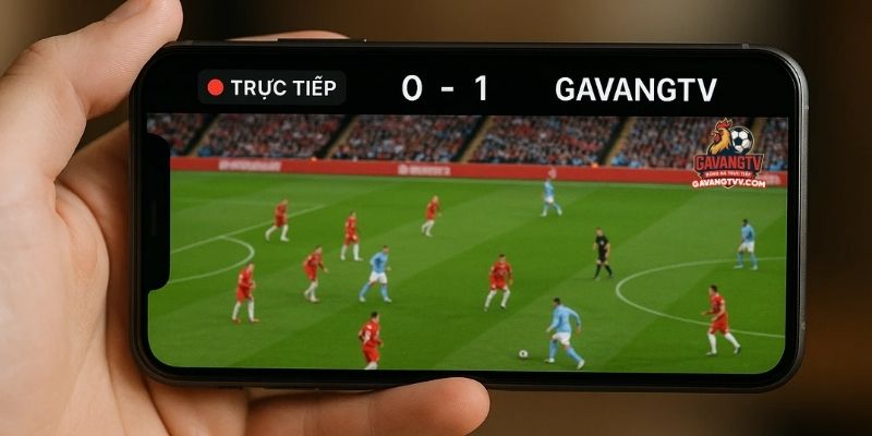Người dùng xem trực tiếp bóng đá GavangTV trên điện thoại